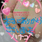 ヒメ日記 2025/02/10 13:25 投稿 砂肝のハナコ C級グル女　鶯谷店