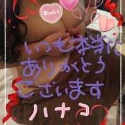 ヒメ日記 2025/02/12 12:03 投稿 砂肝のハナコ C級グル女　鶯谷店