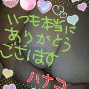 ヒメ日記 2025/02/12 17:09 投稿 砂肝のハナコ C級グル女　鶯谷店