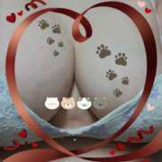 ヒメ日記 2025/02/18 10:33 投稿 砂肝のハナコ C級グル女　鶯谷店