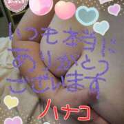 ヒメ日記 2025/02/21 16:26 投稿 砂肝のハナコ C級グル女　鶯谷店