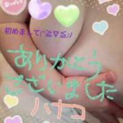 ヒメ日記 2025/02/27 15:49 投稿 砂肝のハナコ C級グル女　鶯谷店