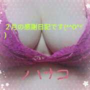 ヒメ日記 2025/02/28 23:10 投稿 砂肝のハナコ C級グル女　鶯谷店