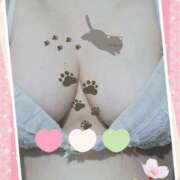 ヒメ日記 2025/03/01 10:08 投稿 砂肝のハナコ C級グル女　鶯谷店