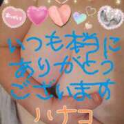 ヒメ日記 2025/03/08 15:37 投稿 砂肝のハナコ C級グル女　鶯谷店