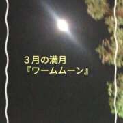 ヒメ日記 2025/03/14 23:16 投稿 砂肝のハナコ C級グル女　鶯谷店