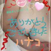 ヒメ日記 2025/03/16 13:09 投稿 砂肝のハナコ C級グル女　鶯谷店