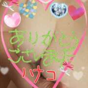 ヒメ日記 2025/03/17 23:18 投稿 砂肝のハナコ C級グル女　鶯谷店