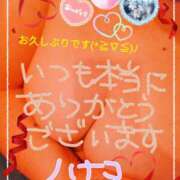 ヒメ日記 2025/03/18 23:55 投稿 砂肝のハナコ C級グル女　鶯谷店