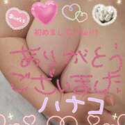 ヒメ日記 2025/03/26 14:41 投稿 砂肝のハナコ C級グル女　鶯谷店