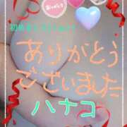 ヒメ日記 2025/03/27 13:50 投稿 砂肝のハナコ C級グル女　鶯谷店