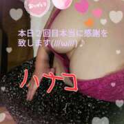 ヒメ日記 2025/03/28 16:42 投稿 砂肝のハナコ C級グル女　鶯谷店