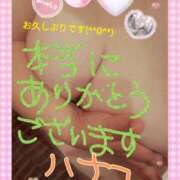 ヒメ日記 2025/03/30 18:07 投稿 砂肝のハナコ C級グル女　鶯谷店