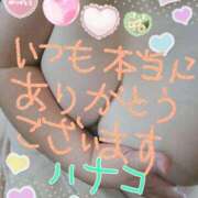 ヒメ日記 2025/04/02 16:00 投稿 砂肝のハナコ C級グル女　鶯谷店