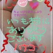 ヒメ日記 2025/04/05 00:16 投稿 砂肝のハナコ C級グル女　鶯谷店