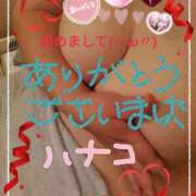 ヒメ日記 2025/04/13 14:01 投稿 砂肝のハナコ C級グル女　鶯谷店