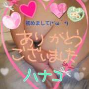 ヒメ日記 2025/04/16 13:21 投稿 砂肝のハナコ C級グル女　鶯谷店