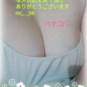 ヒメ日記 2025/04/16 22:40 投稿 砂肝のハナコ C級グル女　鶯谷店