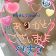 ヒメ日記 2025/04/17 16:10 投稿 砂肝のハナコ C級グル女　鶯谷店