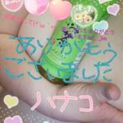 ヒメ日記 2025/04/19 15:02 投稿 砂肝のハナコ C級グル女　鶯谷店