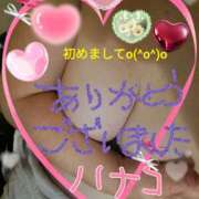 ヒメ日記 2025/04/20 13:31 投稿 砂肝のハナコ C級グル女　鶯谷店