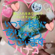 ヒメ日記 2025/04/23 18:37 投稿 砂肝のハナコ C級グル女　鶯谷店