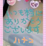 ヒメ日記 2025/04/24 11:18 投稿 砂肝のハナコ C級グル女　鶯谷店