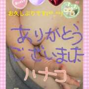 ヒメ日記 2025/04/27 16:15 投稿 砂肝のハナコ C級グル女　鶯谷店