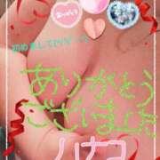 ヒメ日記 2025/04/30 16:10 投稿 砂肝のハナコ C級グル女　鶯谷店