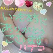 ヒメ日記 2025/05/02 23:59 投稿 砂肝のハナコ C級グル女　鶯谷店