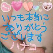 ヒメ日記 2025/05/05 17:36 投稿 砂肝のハナコ C級グル女　鶯谷店