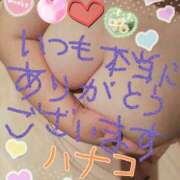 ヒメ日記 2025/05/10 15:13 投稿 砂肝のハナコ C級グル女　鶯谷店