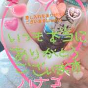 ヒメ日記 2025/05/15 15:39 投稿 砂肝のハナコ C級グル女　鶯谷店