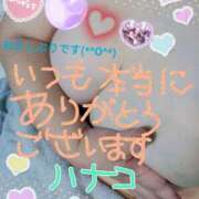 ヒメ日記 2025/05/19 13:49 投稿 砂肝のハナコ C級グル女　鶯谷店