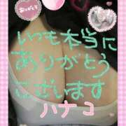 ヒメ日記 2025/05/26 11:48 投稿 砂肝のハナコ C級グル女　鶯谷店