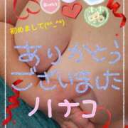 ヒメ日記 2025/05/29 16:08 投稿 砂肝のハナコ C級グル女　鶯谷店