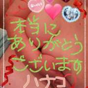 ヒメ日記 2025/05/29 19:47 投稿 砂肝のハナコ C級グル女　鶯谷店