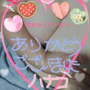 ヒメ日記 2025/05/31 22:34 投稿 砂肝のハナコ C級グル女　鶯谷店