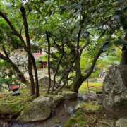 ヒメ日記 2025/01/29 20:26 投稿 さなえ 奥鉄オクテツ大阪