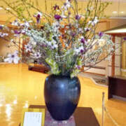 ヒメ日記 2025/02/20 18:09 投稿 さなえ 奥鉄オクテツ大阪