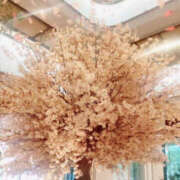 ヒメ日記 2025/03/15 17:24 投稿 さなえ 奥鉄オクテツ大阪