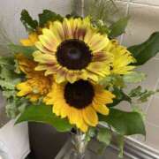 ヒメ日記 2025/07/16 20:21 投稿 さなえ 奥鉄オクテツ大阪