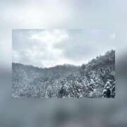 ヒメ日記 2025/02/20 18:56 投稿 一条　いろは エテルナ彦根