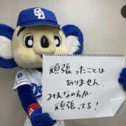 ヒメ日記 2025/03/11 15:35 投稿 紗英 谷町人妻ゴールデン倶楽部