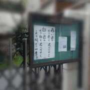 ヒメ日記 2025/05/06 13:40 投稿 紗英 谷町人妻ゴールデン倶楽部