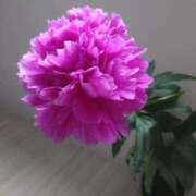 ヒメ日記 2025/06/07 13:25 投稿 紗英 谷町人妻ゴールデン倶楽部