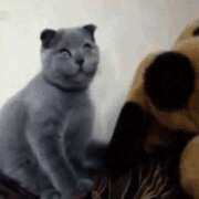 ヒメ日記 2025/07/19 01:55 投稿 紗英 谷町人妻ゴールデン倶楽部