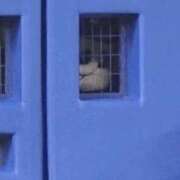 ヒメ日記 2025/09/22 16:25 投稿 紗英 谷町人妻ゴールデン倶楽部