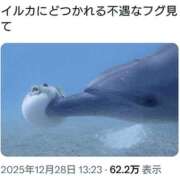 ヒメ日記 2025/12/29 14:40 投稿 紗英 谷町人妻ゴールデン倶楽部