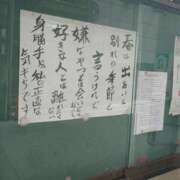 ヒメ日記 2026/04/24 11:00 投稿 紗英 谷町人妻ゴールデン倶楽部